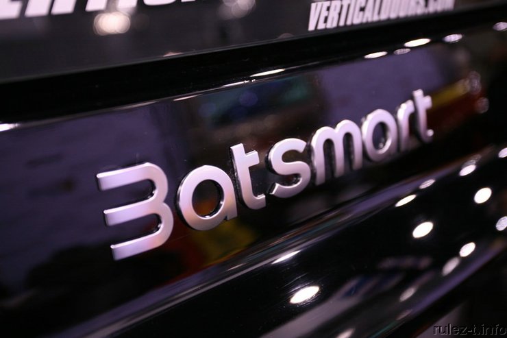 Бэтсмарт (13 фото)