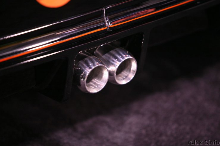 Бэтсмарт (13 фото)