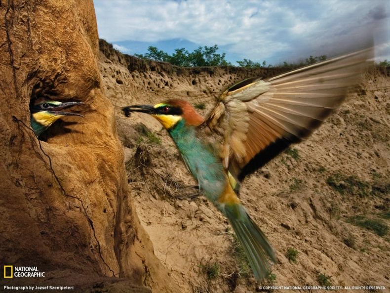 Фото от National Geographic (32 фото)
