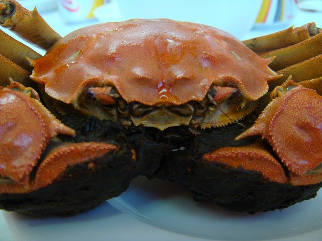 Крабы (26 фото)