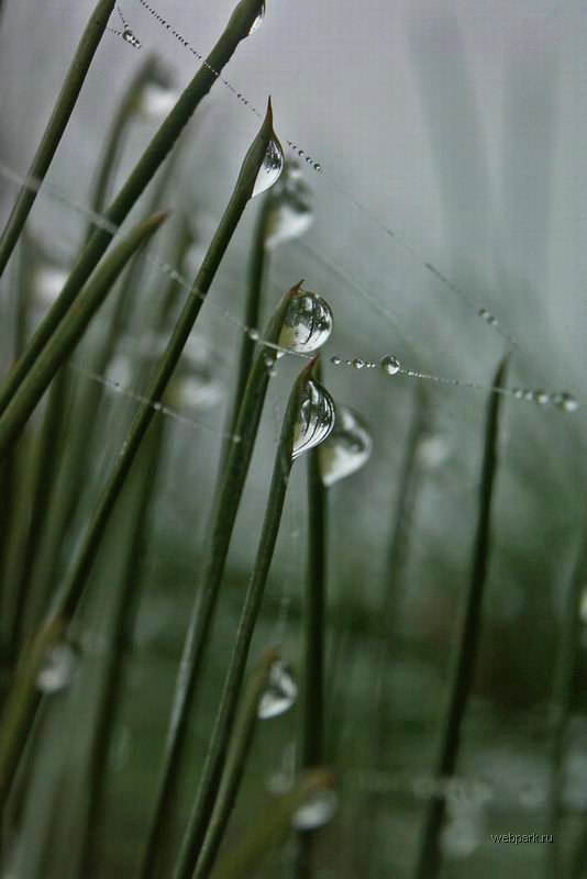 Весенняя подборка