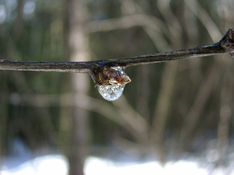 Весенняя подборка
