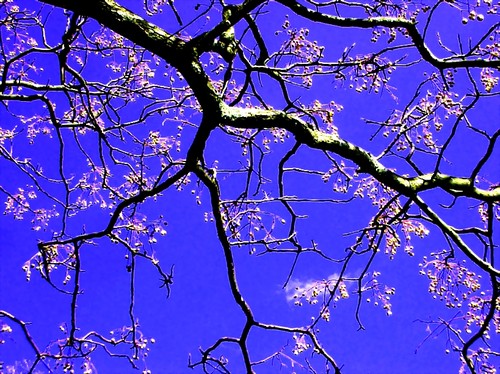 Весенняя подборка