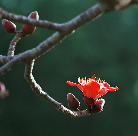 Весенняя подборка