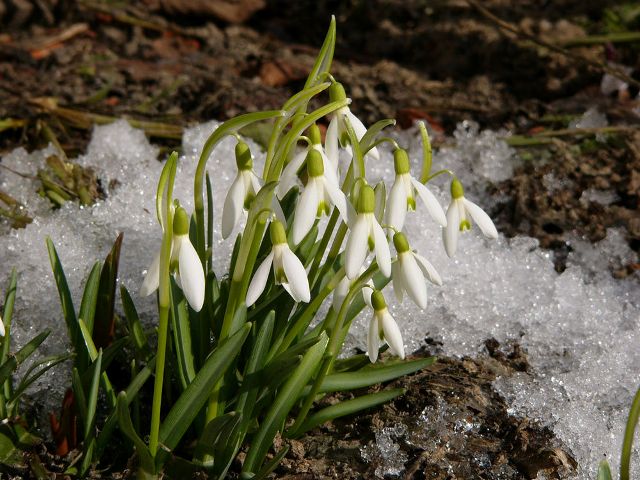 Весенняя подборка