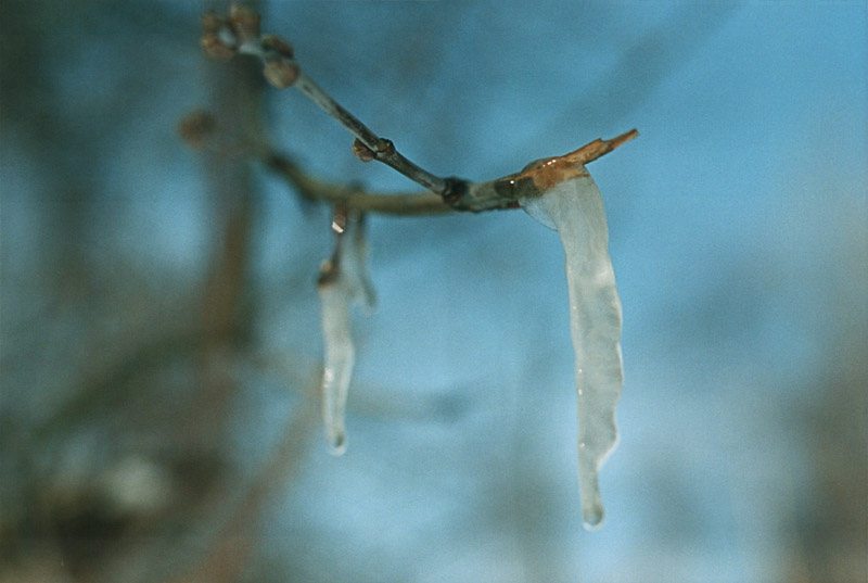 Весенняя подборка