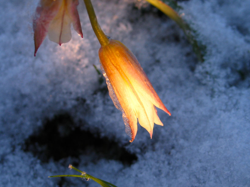 Весенняя подборка