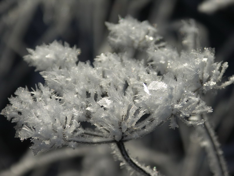 Весенняя подборка