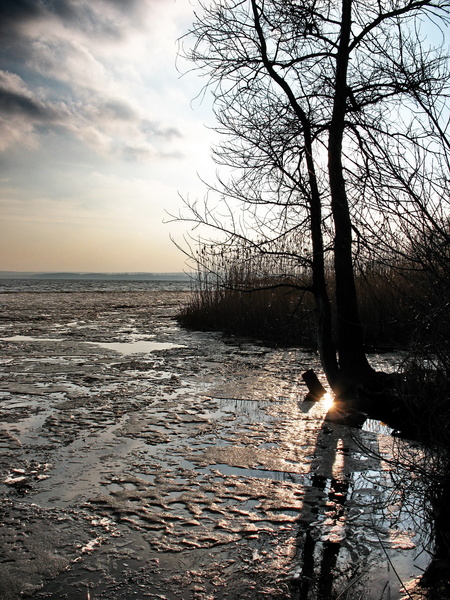 Весенняя подборка