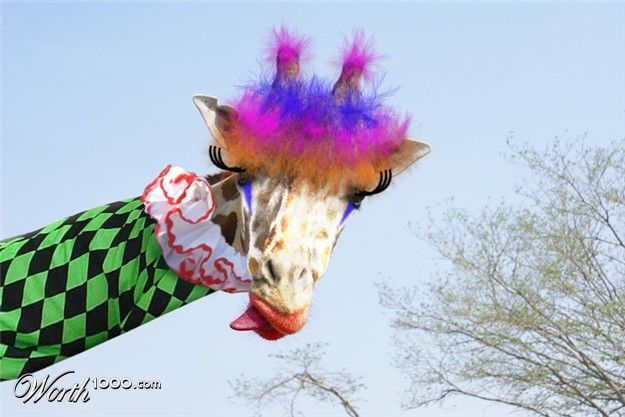 Животные клоуны