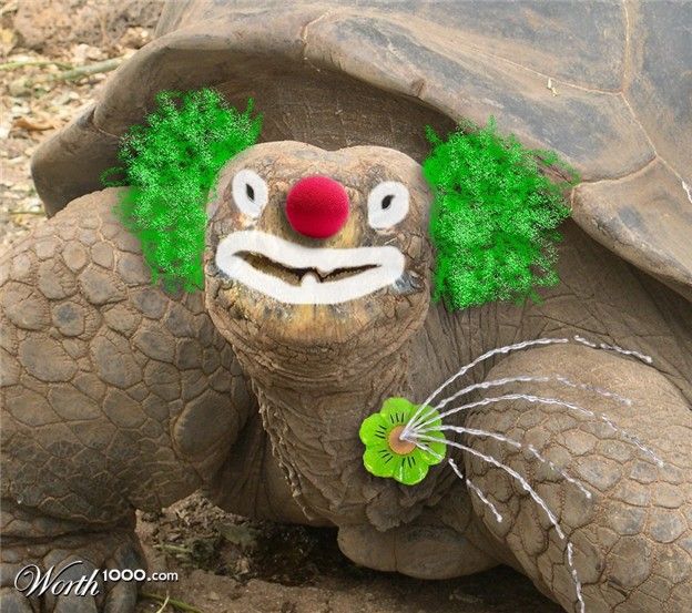 Животные клоуны