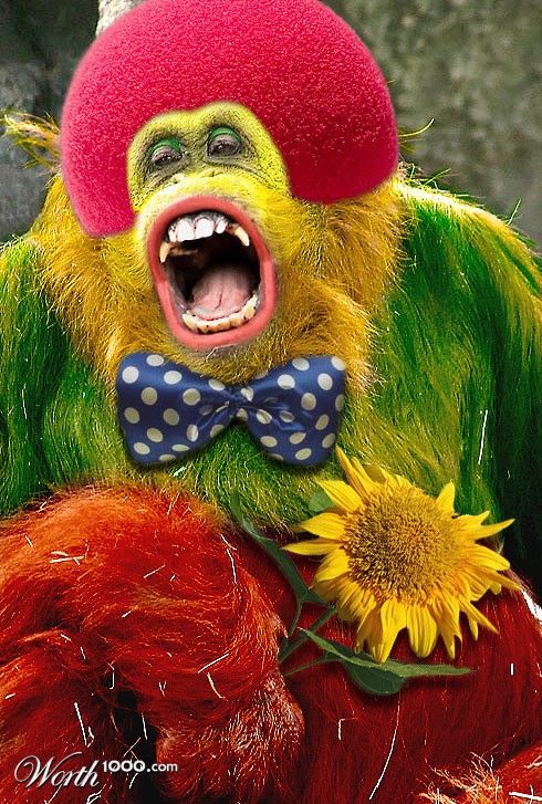 Животные клоуны