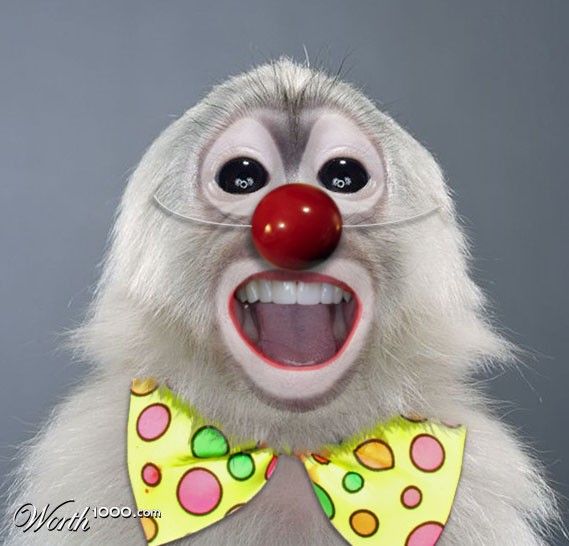 Животные клоуны