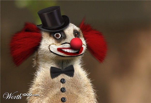 Животные клоуны