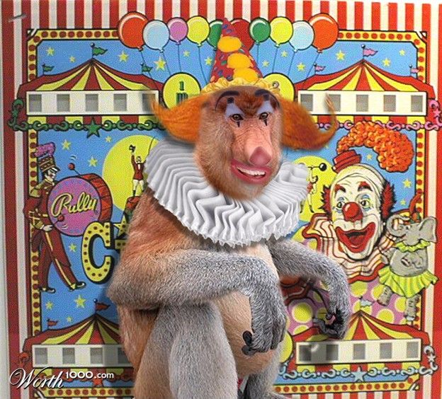Животные клоуны
