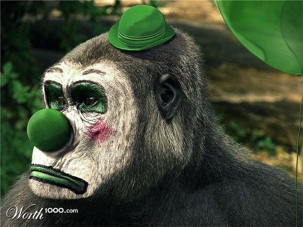 Животные клоуны