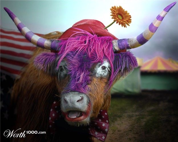 Животные клоуны