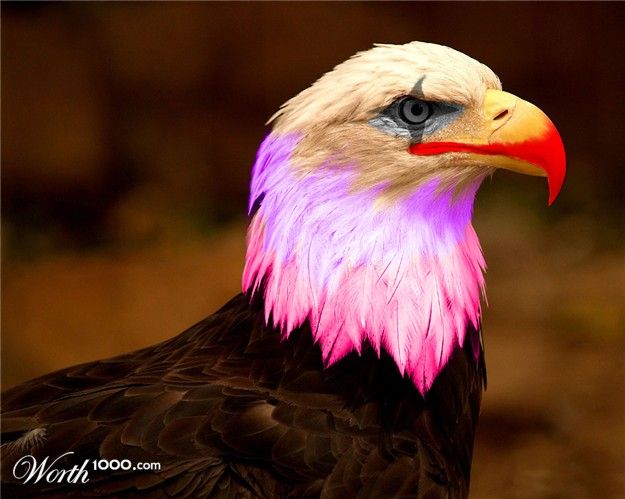 Животные клоуны