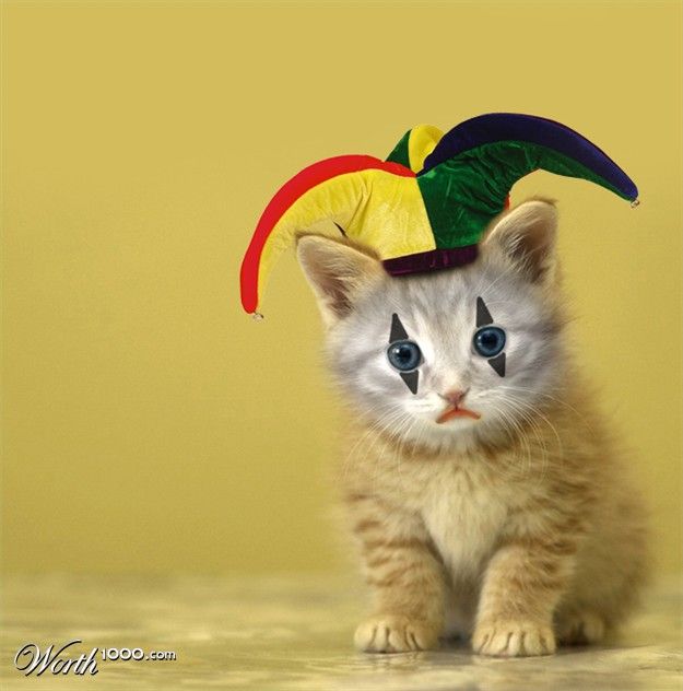 Животные клоуны