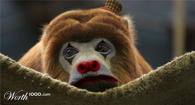 Животные клоуны