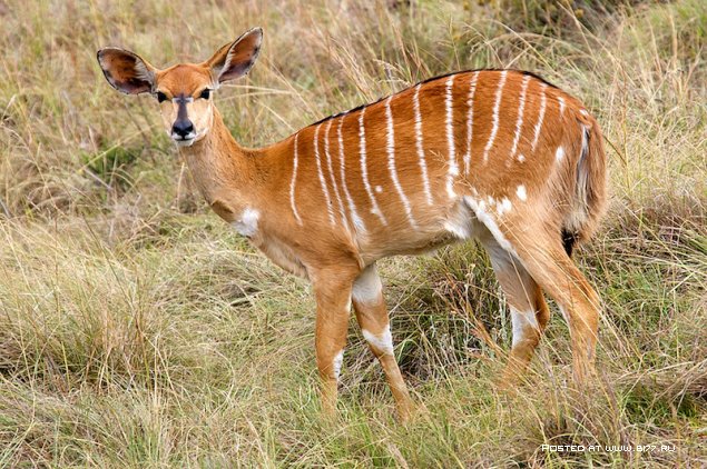 Южная Африка, фотограф с ником Blu