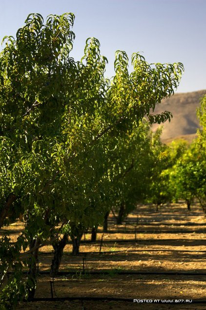 Южная Африка, фотограф с ником Blu