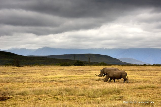 Южная Африка, фотограф с ником Blu