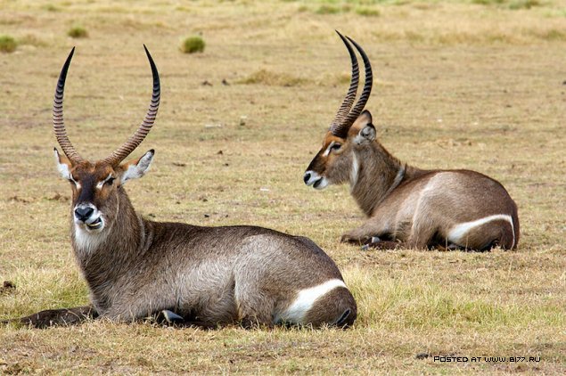 Южная Африка, фотограф с ником Blu