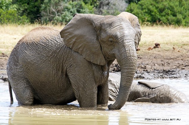 Южная Африка, фотограф с ником Blu