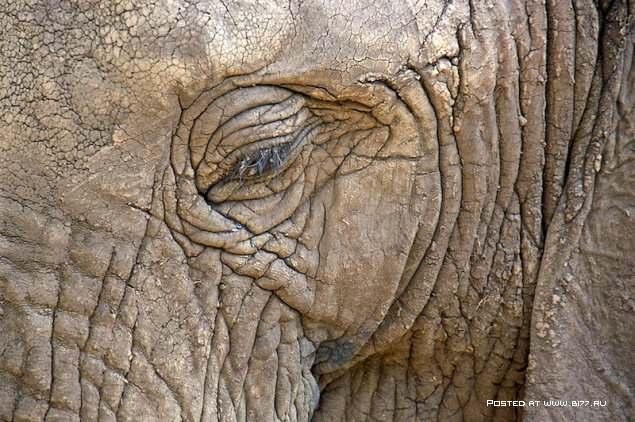 Южная Африка, фотограф с ником Blu