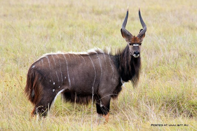 Южная Африка, фотограф с ником Blu