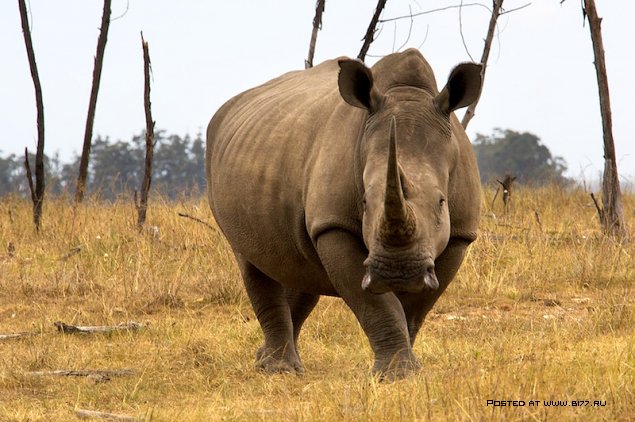 Южная Африка, фотограф с ником Blu