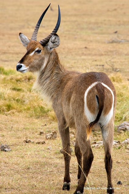 Южная Африка, фотограф с ником Blu