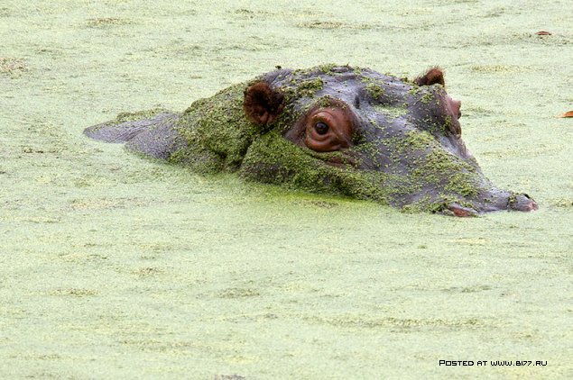Южная Африка, фотограф с ником Blu