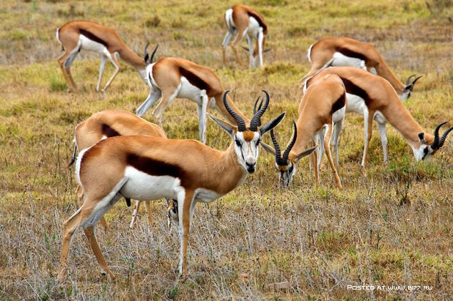 Южная Африка, фотограф с ником Blu