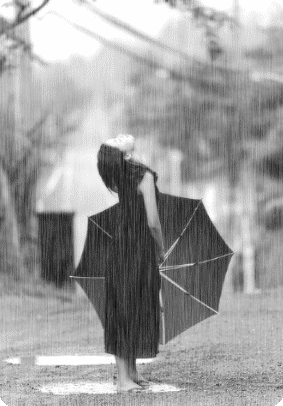 Дождь (14 фото)