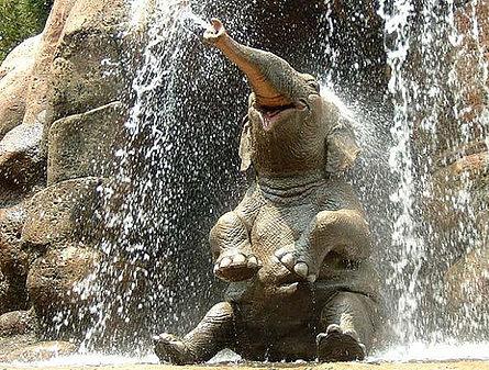 Дождь (14 фото)