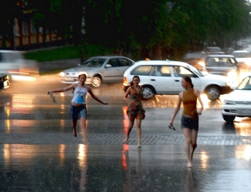 Дождь (14 фото)