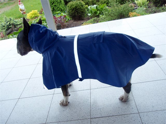 Дождь (14 фото)