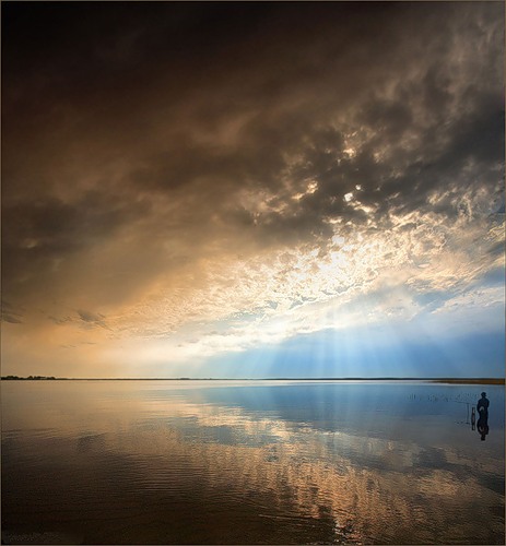 Дождь (14 фото)