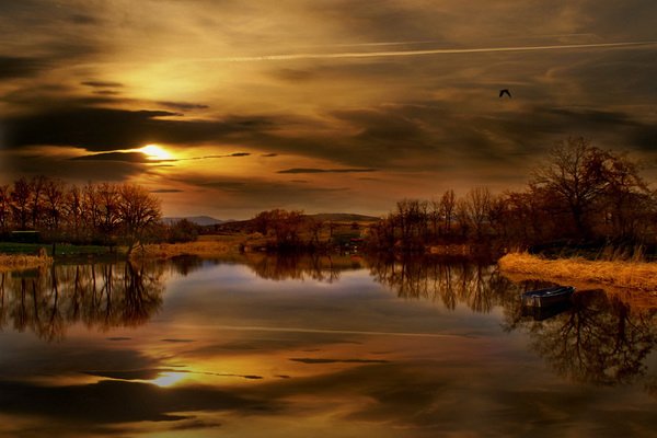 Всяко-разно