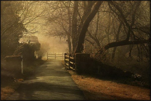 Всяко-разно