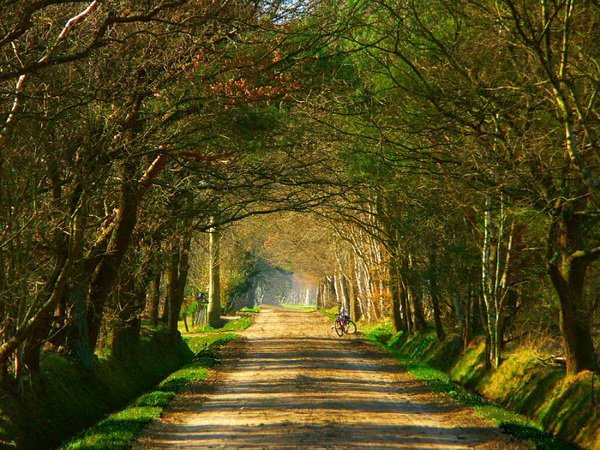 Всяко-разно