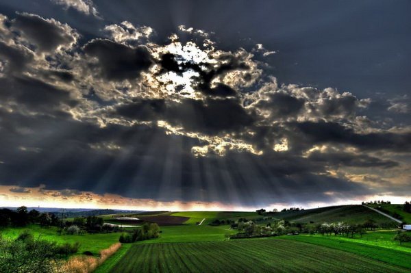 Всяко-разно