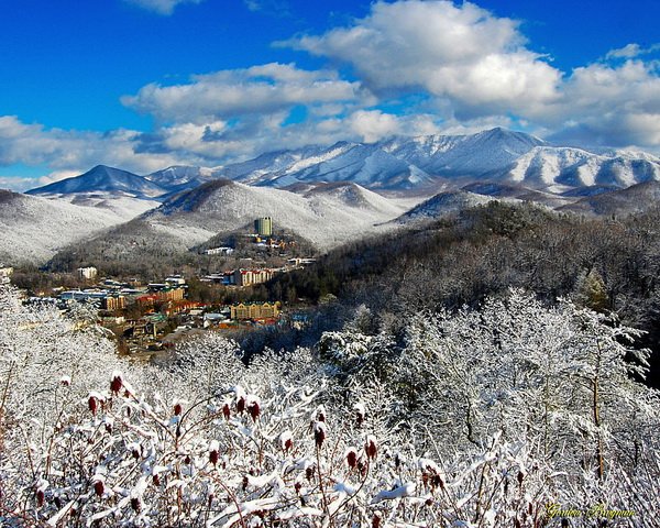 Всяко-разно