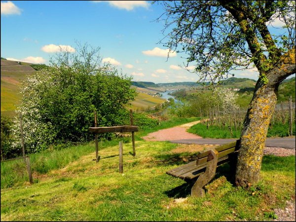 Всяко-разно