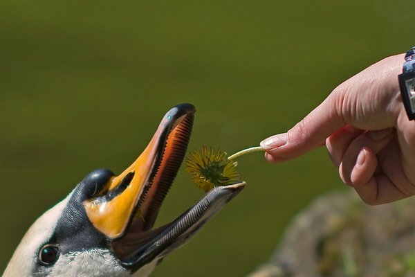 Всяко-разно