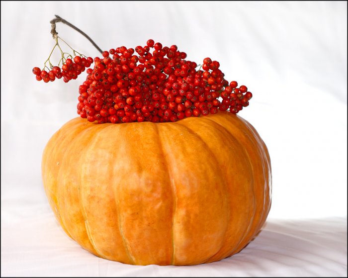 Ягодная подборка