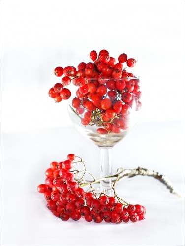 Ягодная подборка