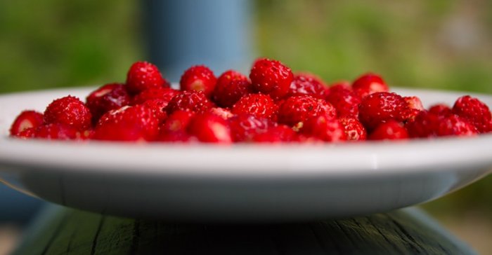 Ягодная подборка